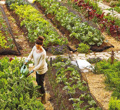 une femme dans la ferme urbaine à Paris 18ème